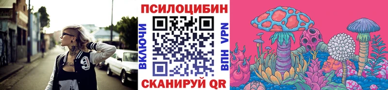 Купить закладки  Дальнегорск  Галлюциногенные грибы Magic Shrooms 