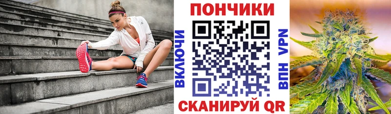 Конопля OG Kush  Купить закладки  Дальнегорск 